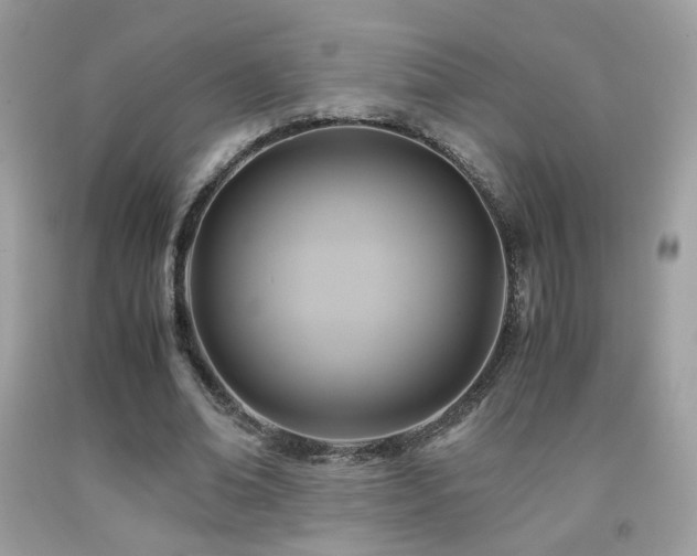 X0000091920678200709051441