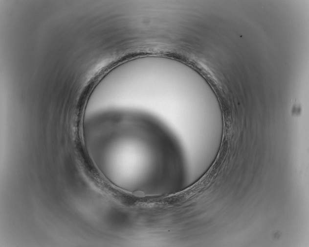 X0000091920679200709051441