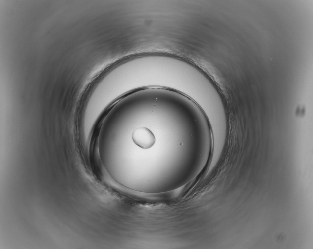 X0000091920680200709051441