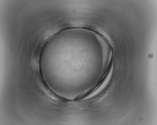 X0000091920681200709051441