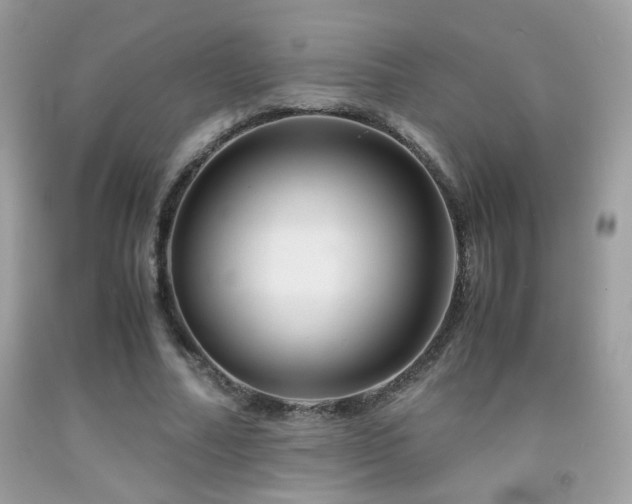 X0000091920682200709051441