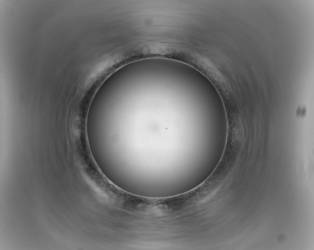 X0000091920683200709051441