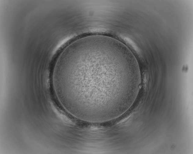 X0000091920684200709051441
