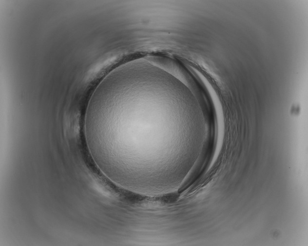 X0000091920685200709051441