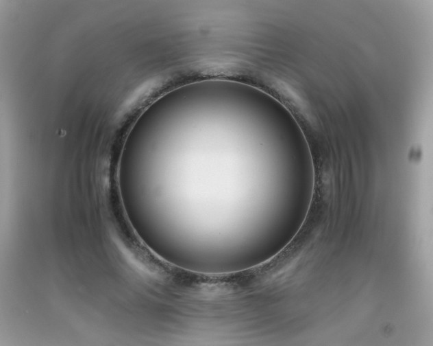 X0000091920686200709051441