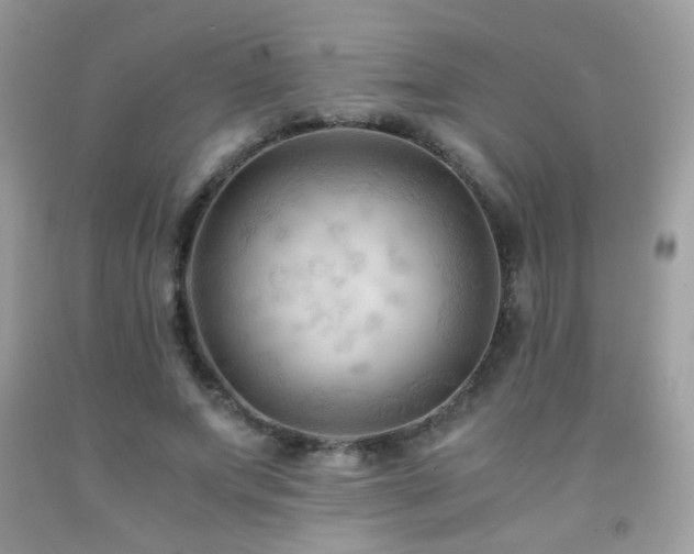 X0000091920687200709051441