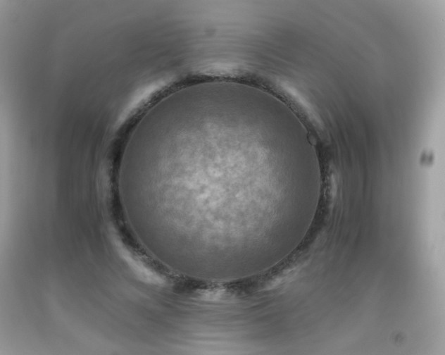 X0000091920688200709051441