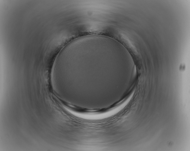 X0000091920689200709051441