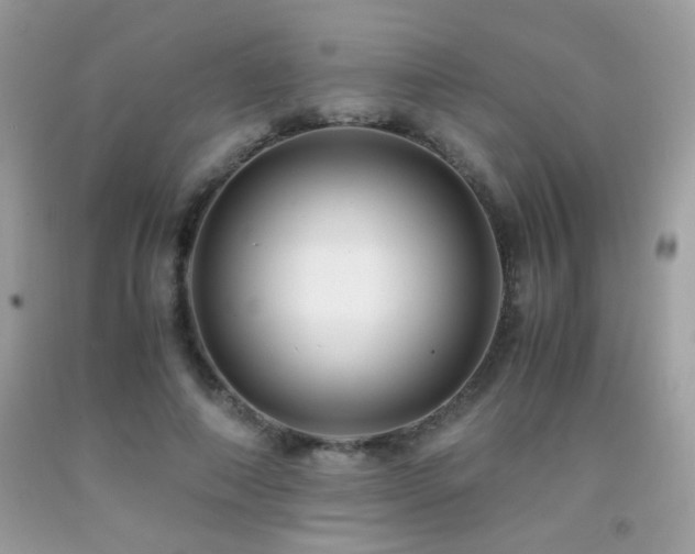 X0000091920690200709051440