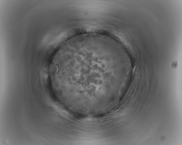 X0000091920691200709051440