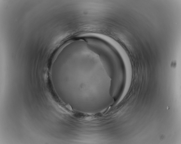 X0000091920692200709051440