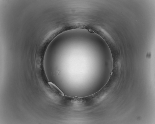 X0000091920693200709051440
