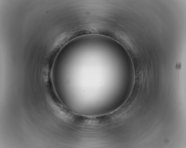 X0000091920694200709051440