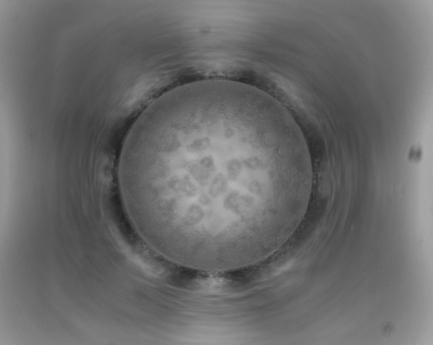 X0000091920695200709051440