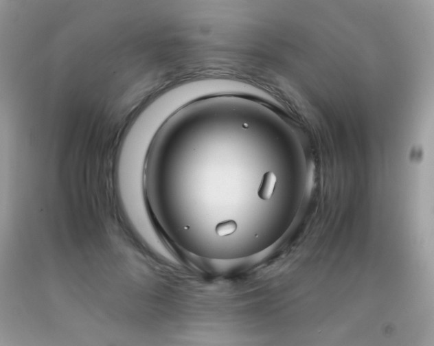 X0000091920696200709051440