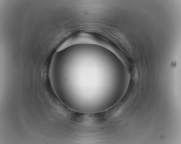 X0000091920697200709051440