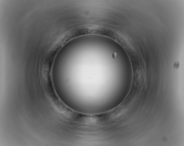 X0000091920698200709051440