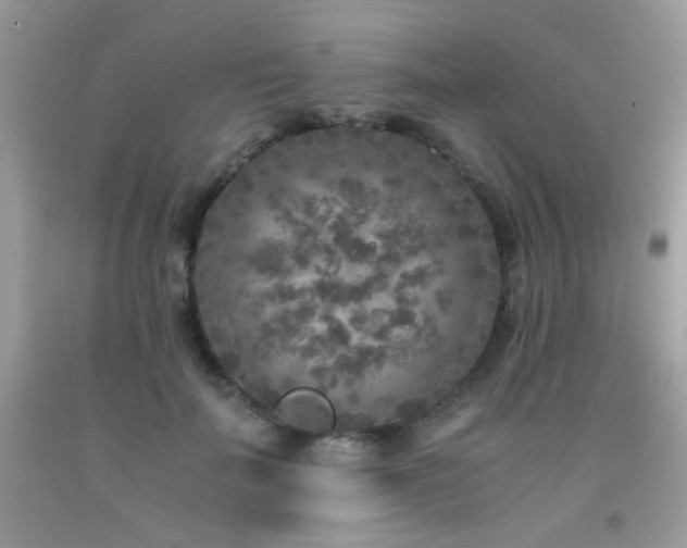 X0000091920699200709051440