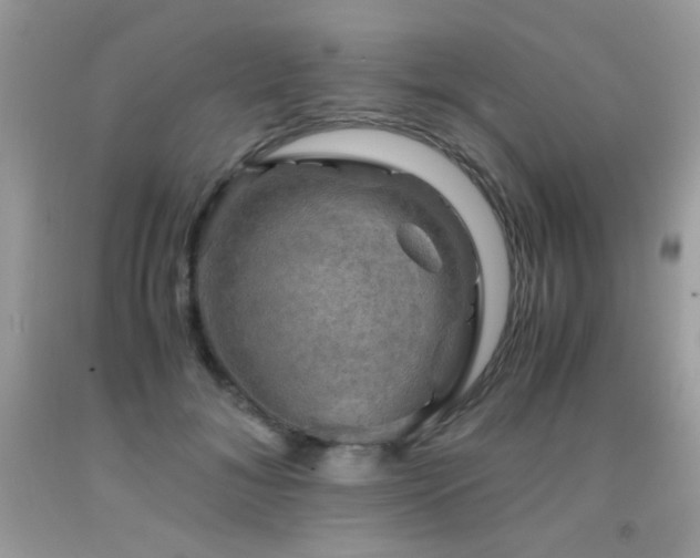 X0000091920700200709051440