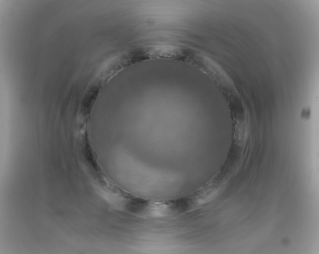X0000091920701200709051440