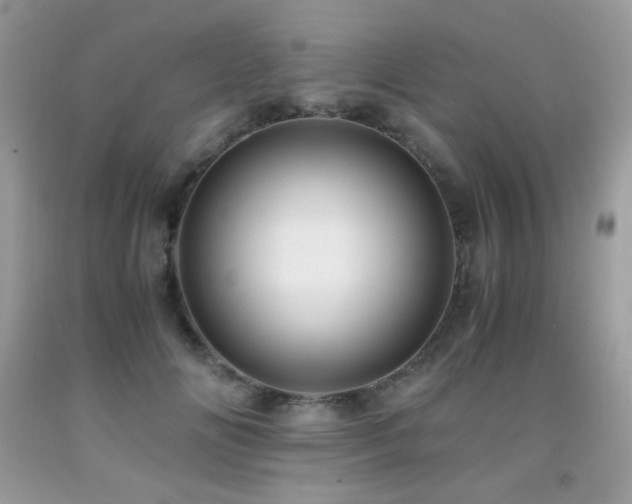 X0000091920702200709051440