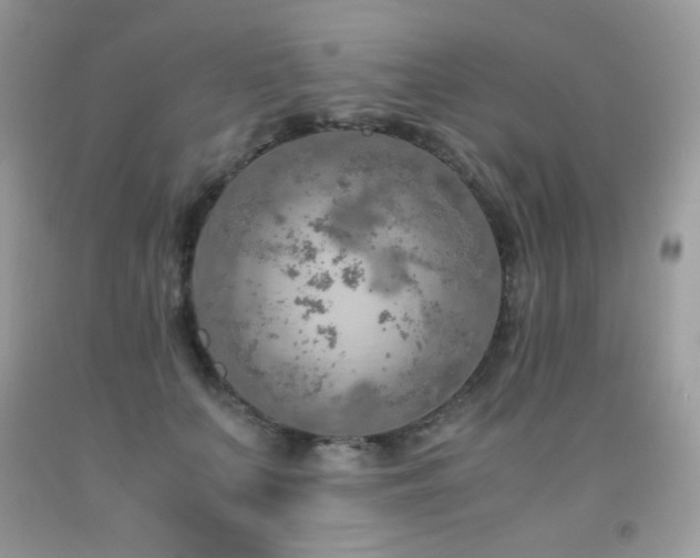 X0000091920703200709051440