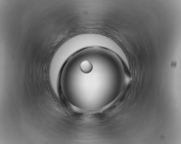 X0000091920704200709051440