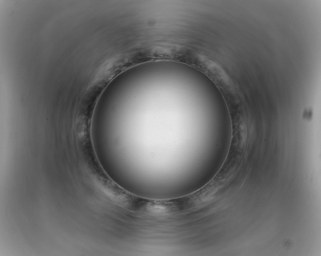 X0000091920706200709051440
