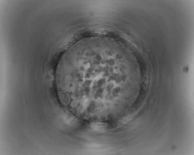 X0000091920707200709051440