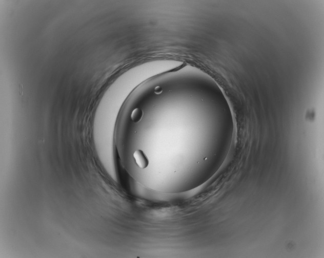 X0000091920708200709051440