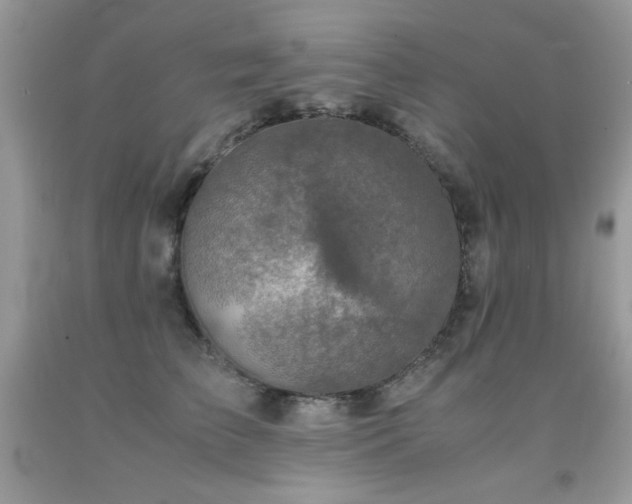 X0000091920709200709051440