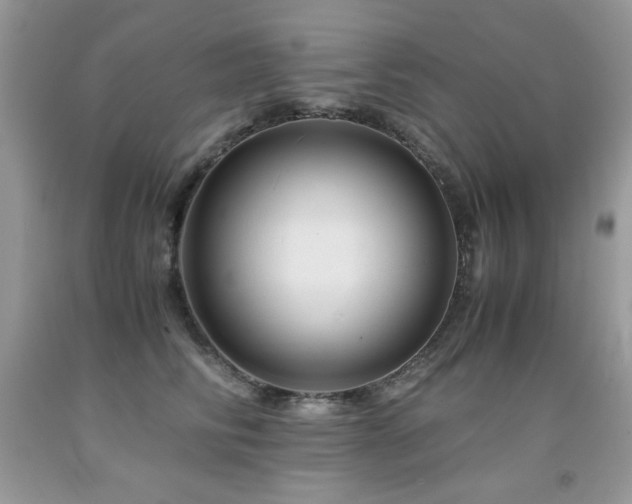 X0000091920710200709051440
