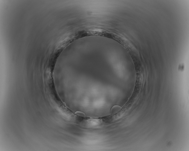 X0000091920711200709051440