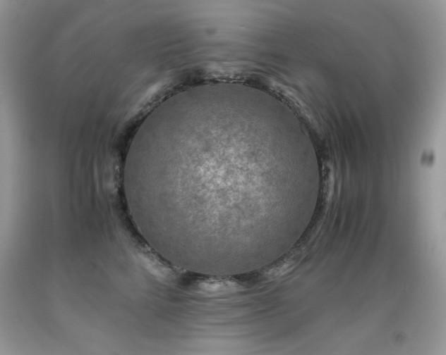 X0000091920712200709051440