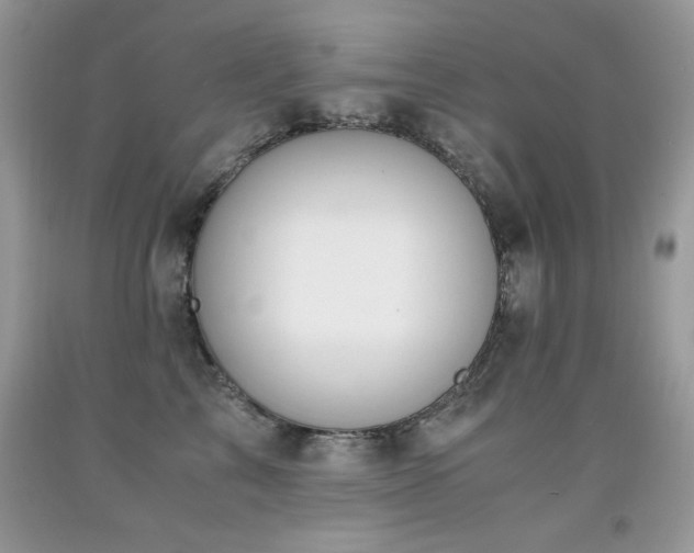 X0000091920713200709051440