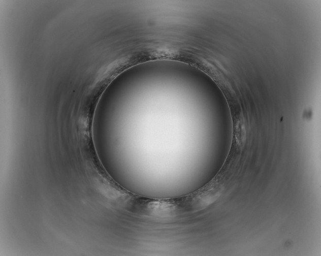 X0000091920714200709051440