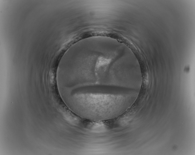 X0000091920715200709051440