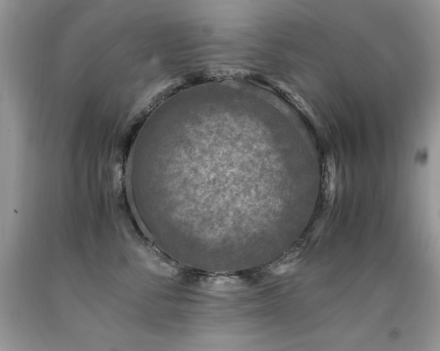 X0000091920716200709051440