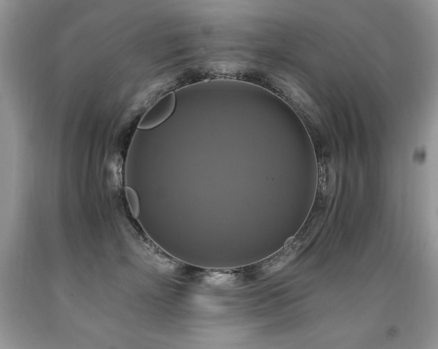 X0000091920718200709051440