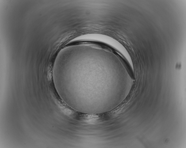 X0000091920719200709051440