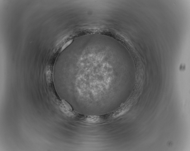 X0000091920720200709051440