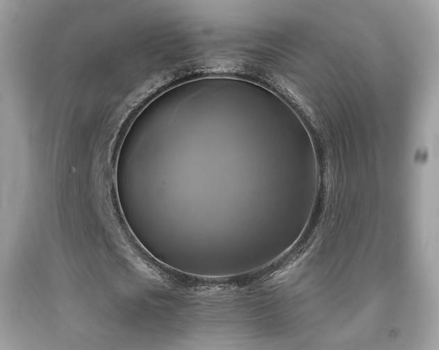 X0000091920721200709051439