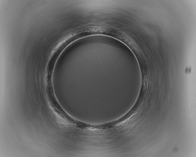 X0000091920722200709051439