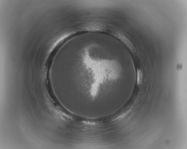 X0000091920723200709051439