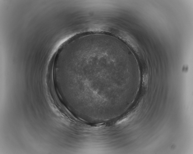 X0000091920724200709051440