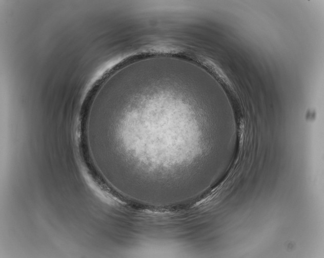 X0000091920726200709051440