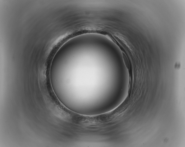 X0000091920727200709051440