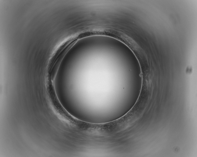 X0000091920728200709051440