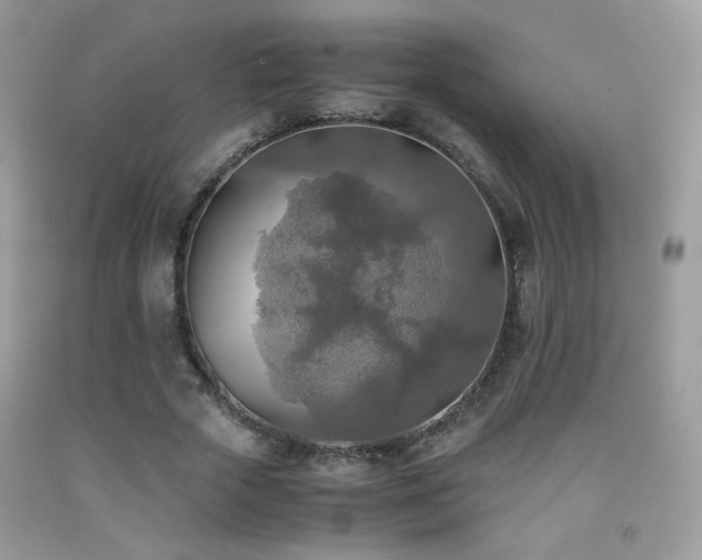X0000091920729200709051440