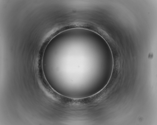 X0000091920730200709051440